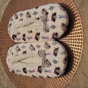 Cat and Cactus Slippers